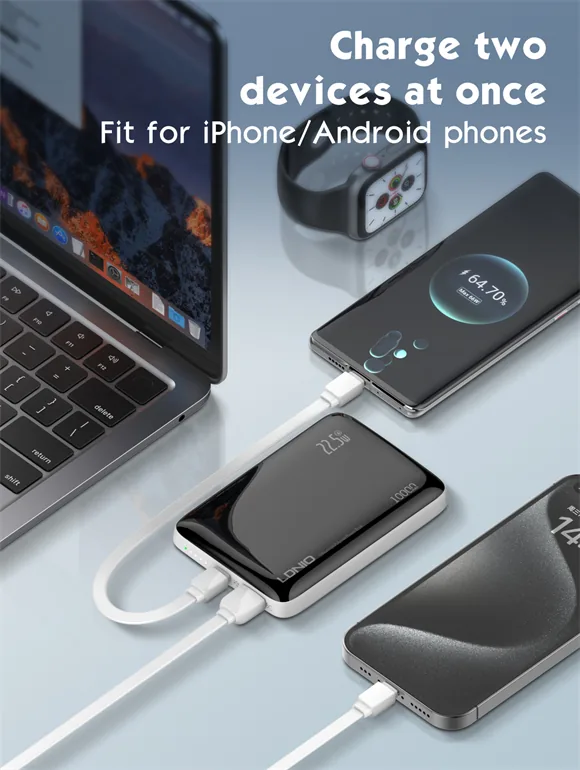 Ldnio PQ25 22.5W 10000mAH Fast Charging Power Bank for Sale in Pakistan